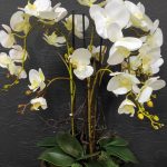 IMG_20220920_135448