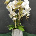 IMG_20220920_135651